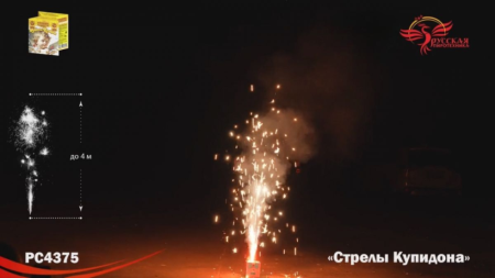 product10695-gallery-67610b9b37265