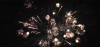 ols5wlbz9frp8g8zfri3s6yqmjwbo4mh