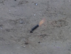 (Р1400) Корсар 4 16/12/12